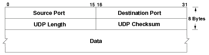 A UDP Datagram